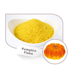 Drum Dried Pumpkin Flake Powder