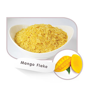 Drum Dried Mango Flake Powder
