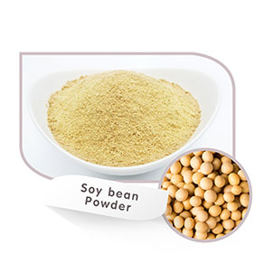 Drum Dried soy beanFlake Powder