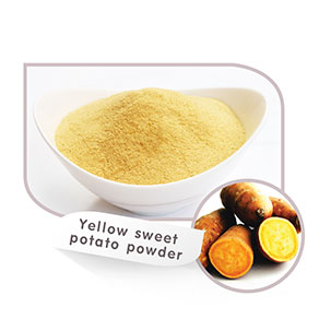 Drum Dried Yellow Sweet Potato